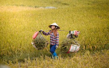 Vietnam Cambodia Thailand Laos